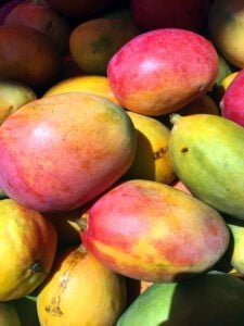 mango